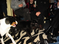 IMG_3740.jpg