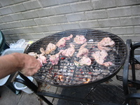 IMG_4228.jpg