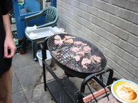 IMG_4229.jpg