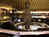 IMG_2441.jpg