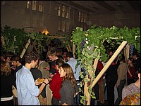IMG_0782.jpg