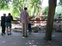IMG_5217.JPG