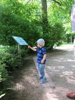 IMG_5221.JPG
