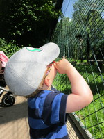 IMG_5222.JPG