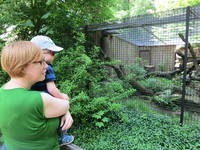 IMG_5225.JPG