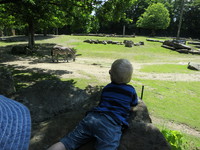 IMG_5235.JPG