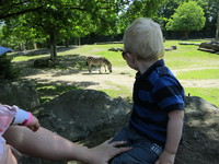 IMG_5236.JPG