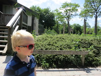 IMG_5240.JPG
