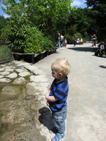 IMG_5250.JPG