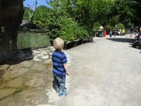 IMG_5251.JPG
