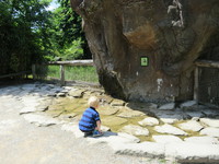 IMG_5254.JPG