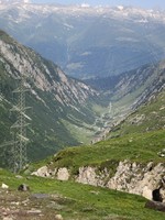 IMG_0353.jpg
