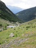 IMG_0403.jpg