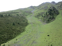 IMG_0404.jpg