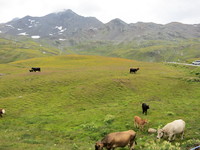 IMG_0406.jpg