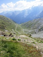 IMG_0459.jpg