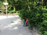 IMG_3681.JPG