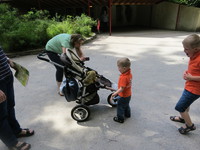 IMG_3682.JPG