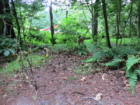 IMG_3693.JPG