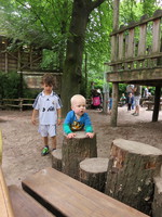 IMG_3706.JPG