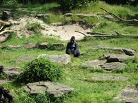 IMG_3717.JPG