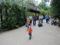 IMG_3719.JPG