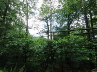 IMG_3726.JPG