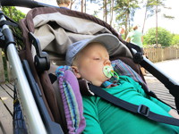IMG_3728.JPG