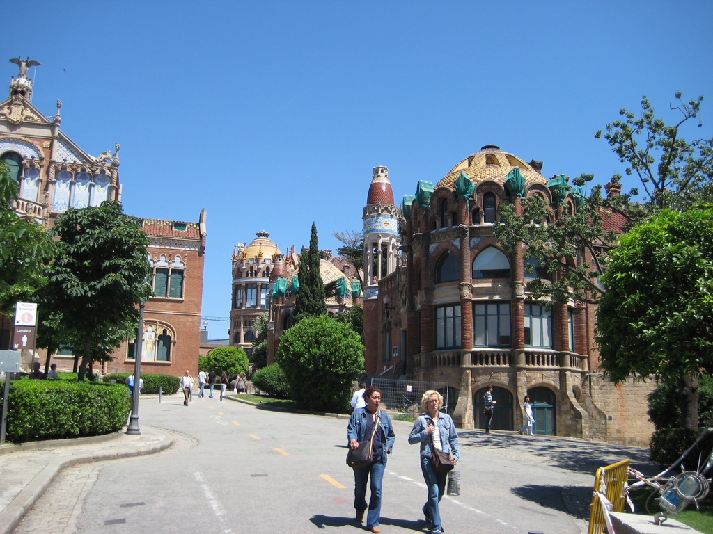 IMG_3528.JPG