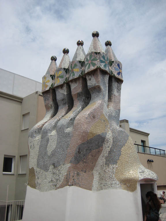 IMG_3550.JPG
