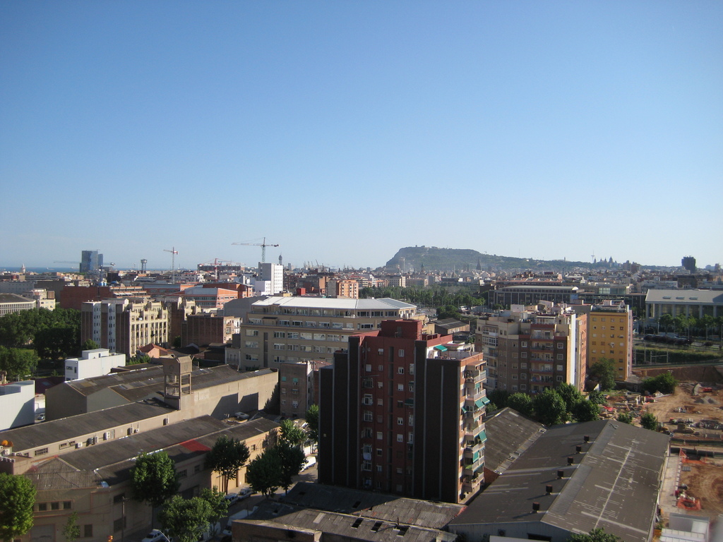 IMG_3563.JPG