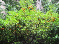 IMG_3494.JPG