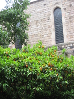 IMG_3495.JPG