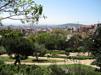IMG_3508.JPG