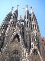 IMG_3522.JPG