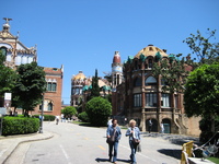 IMG_3528.JPG
