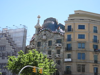 IMG_3533.JPG