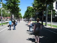 IMG_3536.JPG