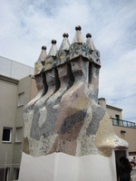 IMG_3550.JPG
