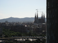 IMG_3562.JPG