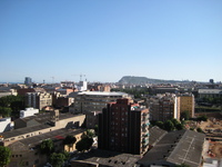 IMG_3563.JPG