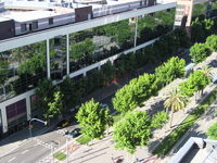 IMG_3568.JPG