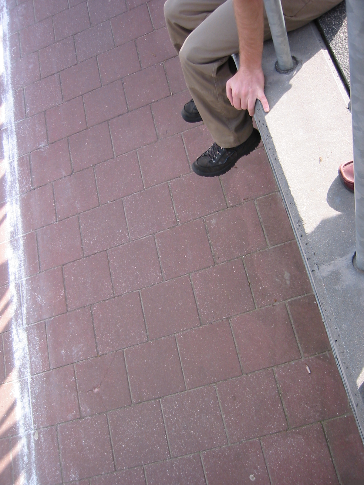IMG_1234.jpg