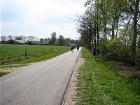 IMG_1167.jpg