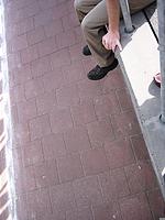 IMG_1234.jpg