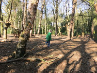 IMG_4978.JPG