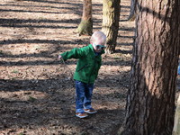 IMG_4982.JPG