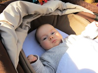 IMG_4985.JPG