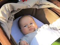 IMG_4986.JPG