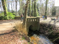 IMG_5001.JPG